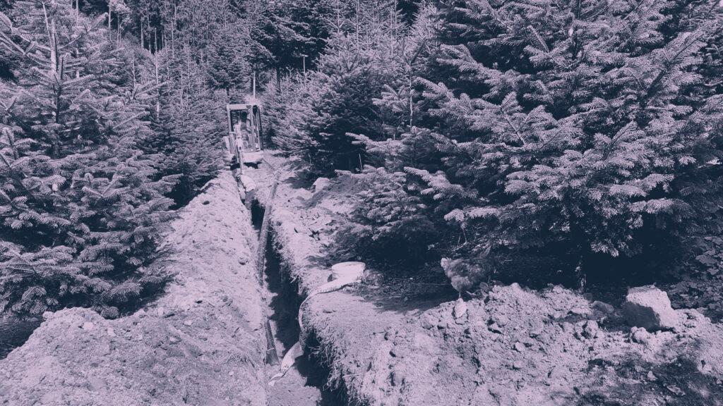Bauarbeiten in einem Wald in der Gemeinde Seebach - Bild ist lila eingefärbt